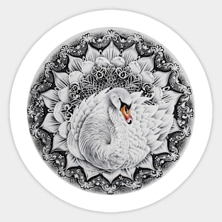 Mandala - Swan Sticker